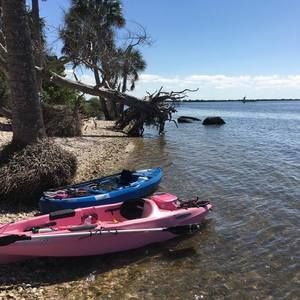 Meet your Posher, Joni